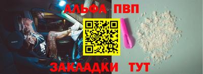 шишки Тара